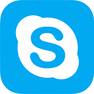 Skype link